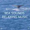 Ocean Sounds, Ocean Waves For Sleep & BodyHI - !!!\